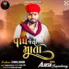 About Vagh Jevi Mata Song